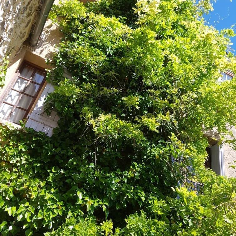 Appartamento le balcon Camps-sur-l'Agly Esterno foto