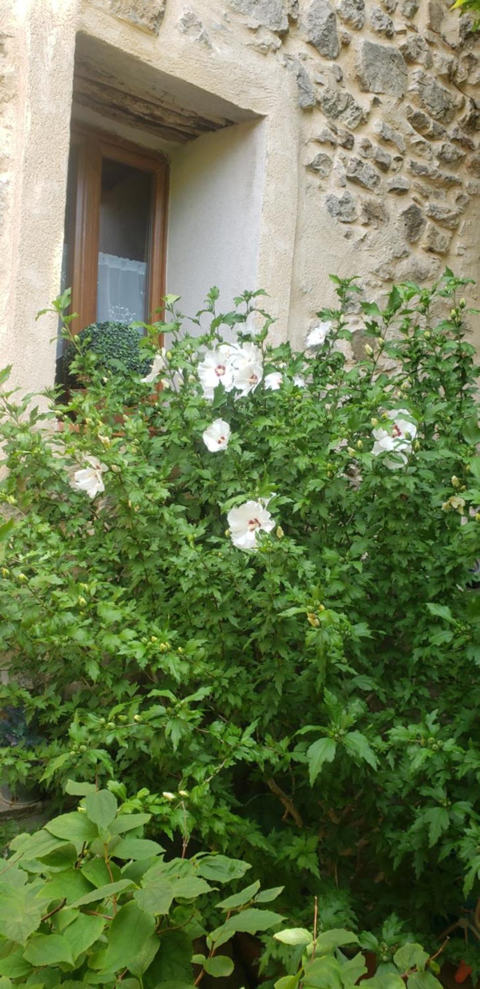 Appartamento le balcon Camps-sur-l'Agly Esterno foto